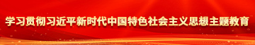 男生插女生的黄色视频网站学习贯彻习近平新时代中国特色社会主义思想主题教育